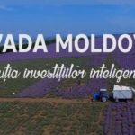 livada-moldovei