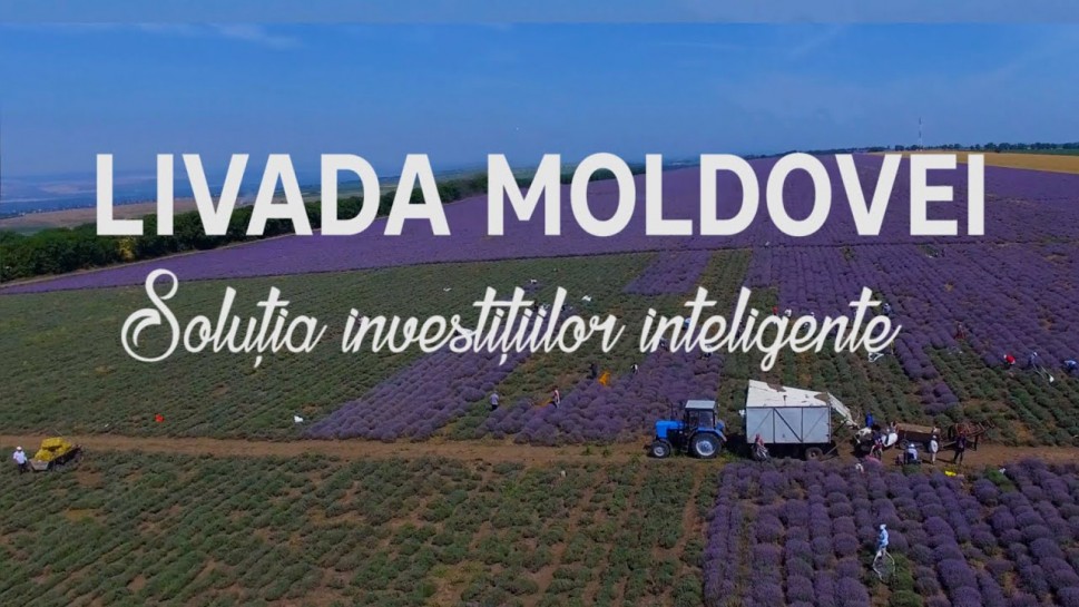 livada-moldovei | Livada Moldovei