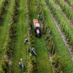DJI_0194