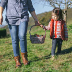 Little girl and woman carrying basket with apples