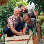 Grandfather,son and grandson working in greenhouse